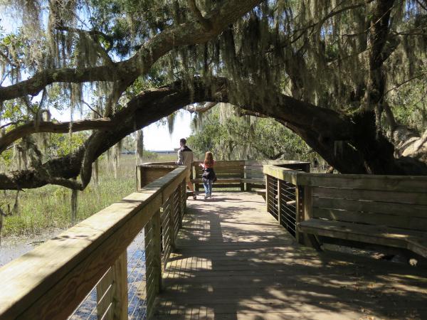 Coastal Discovery Museum  - Hilton Head Island
